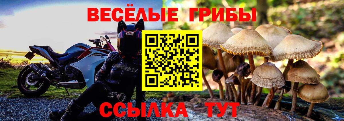 Галлюциногенные грибы мухоморы  Вход с VPN  Гусев 